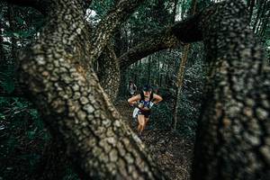 BIB: 
                            <button type="button" onclick="openModal(25392542)" class="btn btn-primary btn-sm float-right btn-popup" data-toggle="modal" data-target=".modal-high-quality">
                        <i class="fas fa-shopping-cart"></i> Add to Cart
                    </button>
                                            <button type="button" onclick="isThisMe(25392542, true)" class="btn btn-success btn-sm float-right btn-popup btn-isme hidden" data-toggle="tooltip" data-placement="bottom" title="นี่คือรูปของคุณใช่ไหม คลิกที่นี่เพื่อเอาเข้าอัลบั้ม">
                        <i class="fas fa-plus"></i> Add to album
                    </button>
                    <button type="button" onclick="isThisMe(25392542, false)" class="btn btn-warning btn-sm float-right btn-popup btn-isnotme hidden">
                        <i class="fas fa-ban"></i> Remove from album
                    </button>